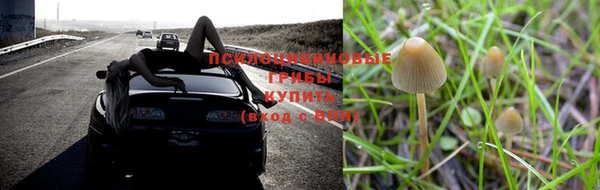 ALPHA-PVP Алексин