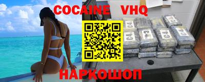 стаф Кингисепп