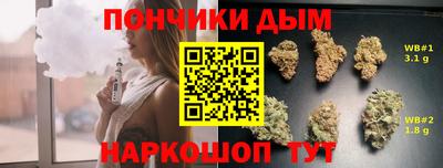 стаф Кингисепп