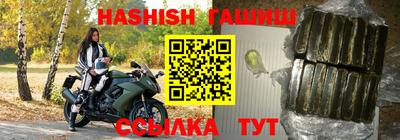 стаф Кингисепп